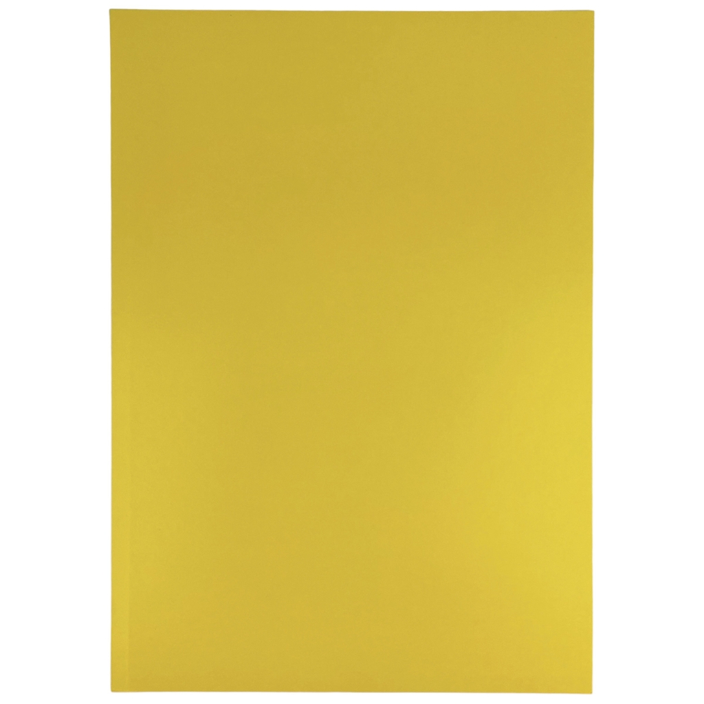 Bìa mỹ 210x297mm A4 (100)