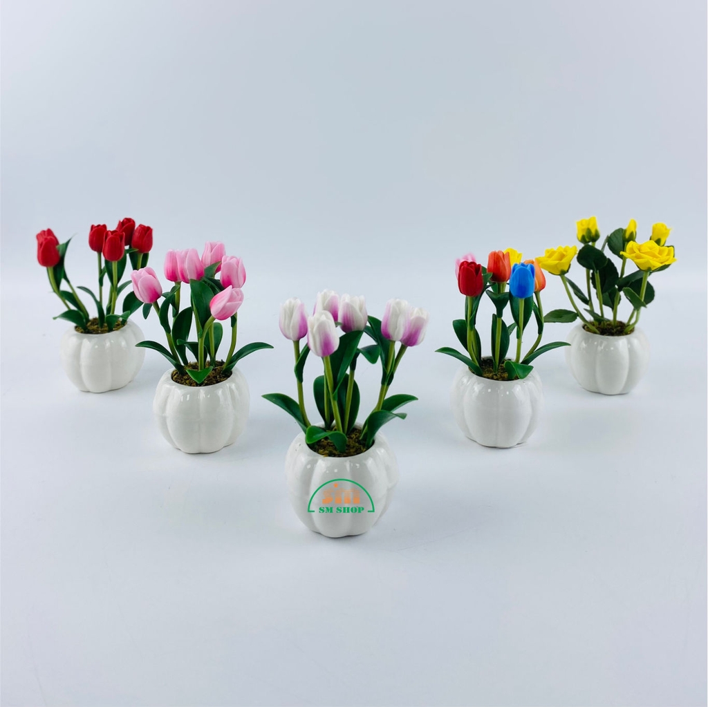 Chậu hoa đất sét 452789