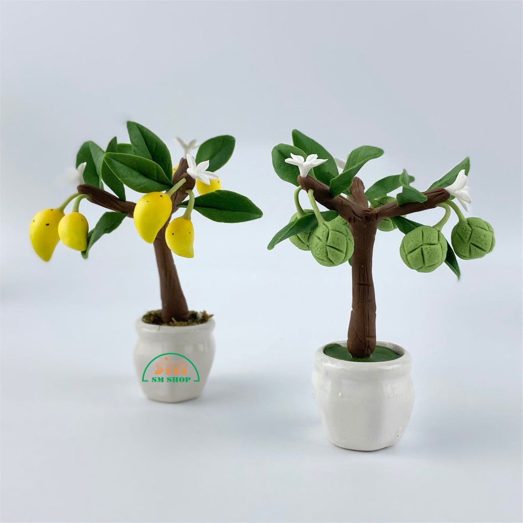 Chậu cây ăn trái đất sét 426399