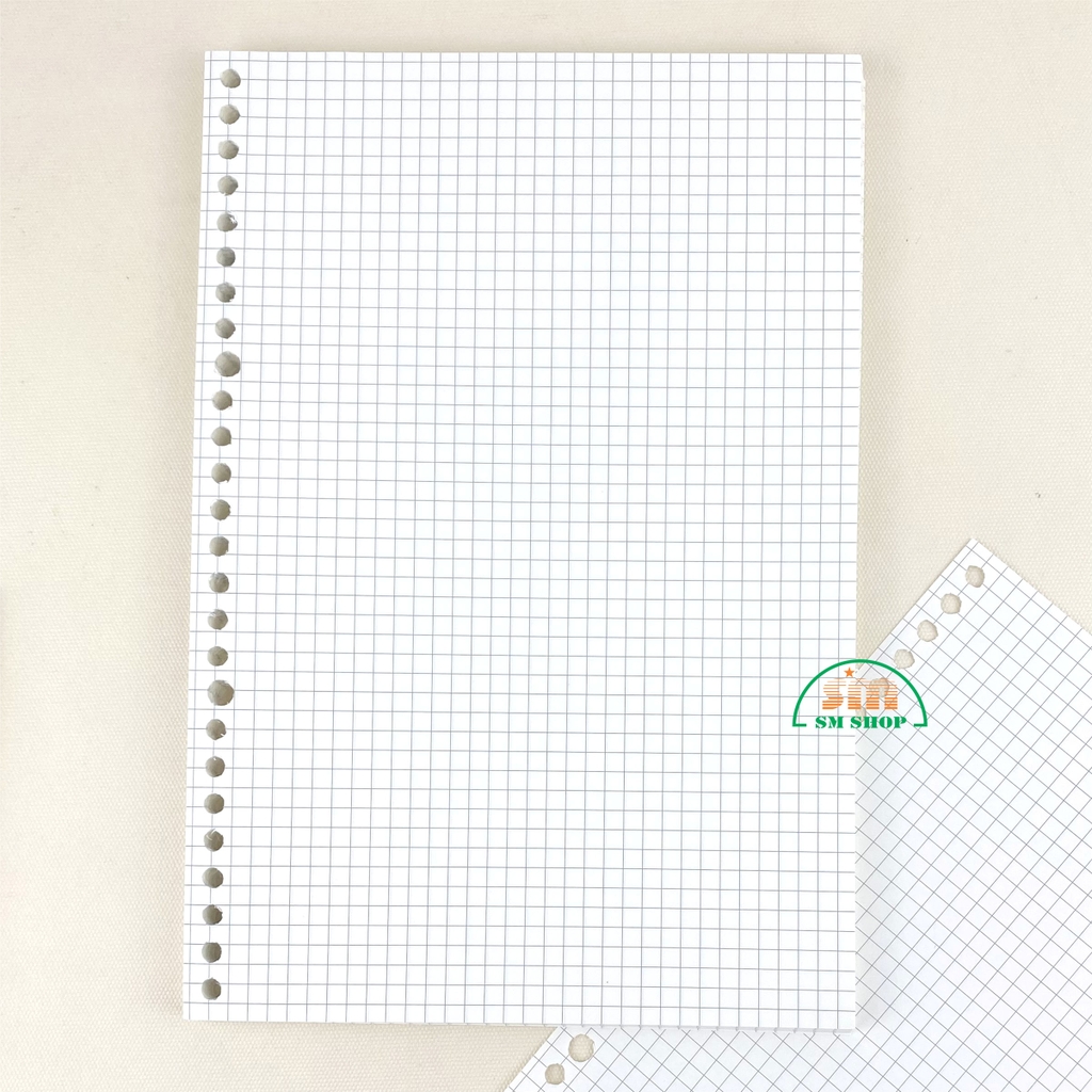 Ruột sổ lò xo 17.2x25.2cm B5