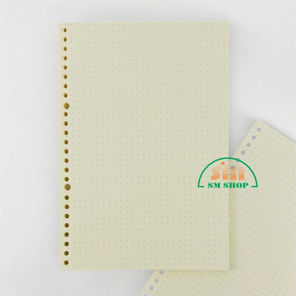 Ruột sổ lò xo 17.2x25.2cm B5