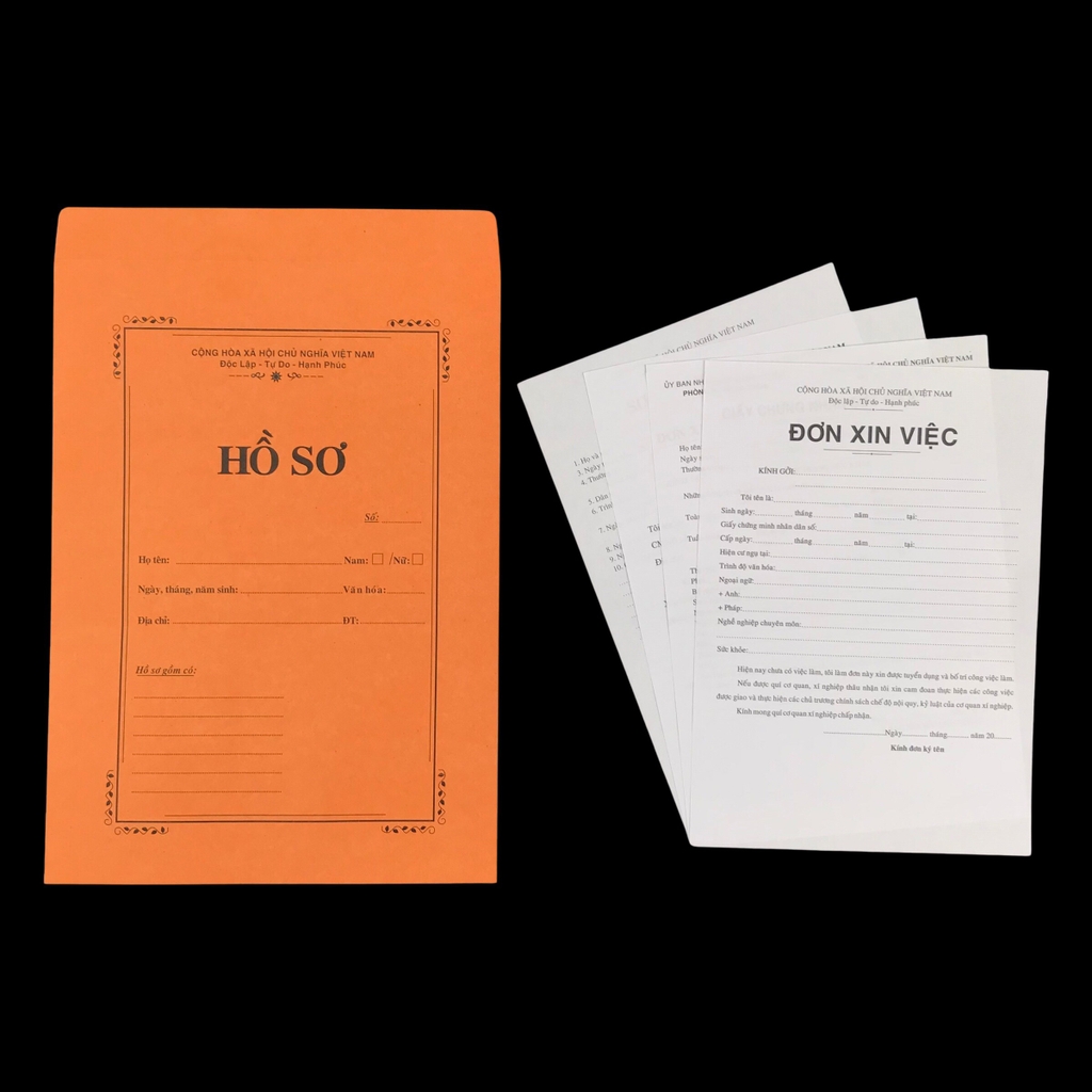 Hồ sơ xin việc