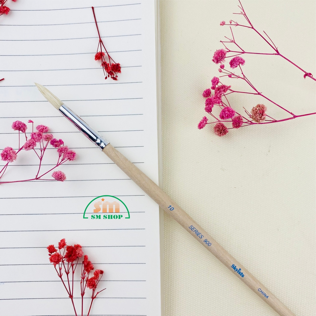 Cọ vẽ Skyists đầu tròn 900