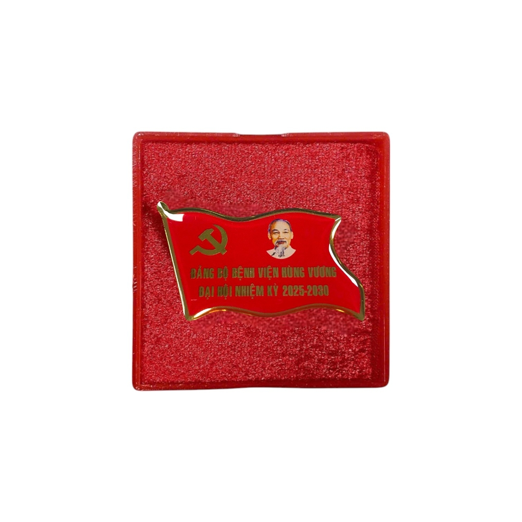 Huy hiệu cài áo inox BT59 / BT60 hàn kim 004S mạ vàng, Huy hiệu lá cờ, Huy hiệu đại biểu, Huy hiệu đại hội, Cài áo cờ Đảng