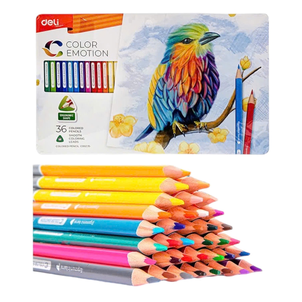 Bút chì màu Deli C00205 / C00225 / C00235 hộp thiếc