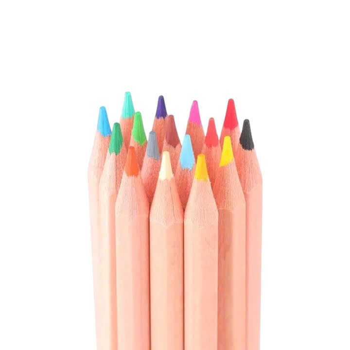 Bút chì màu TL Colokit CPC-C08 16 màu (10/160)