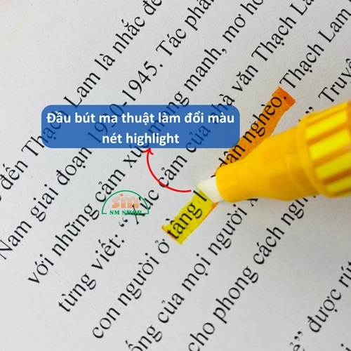 Bút dạ quang Chosch CS-H857 (18)