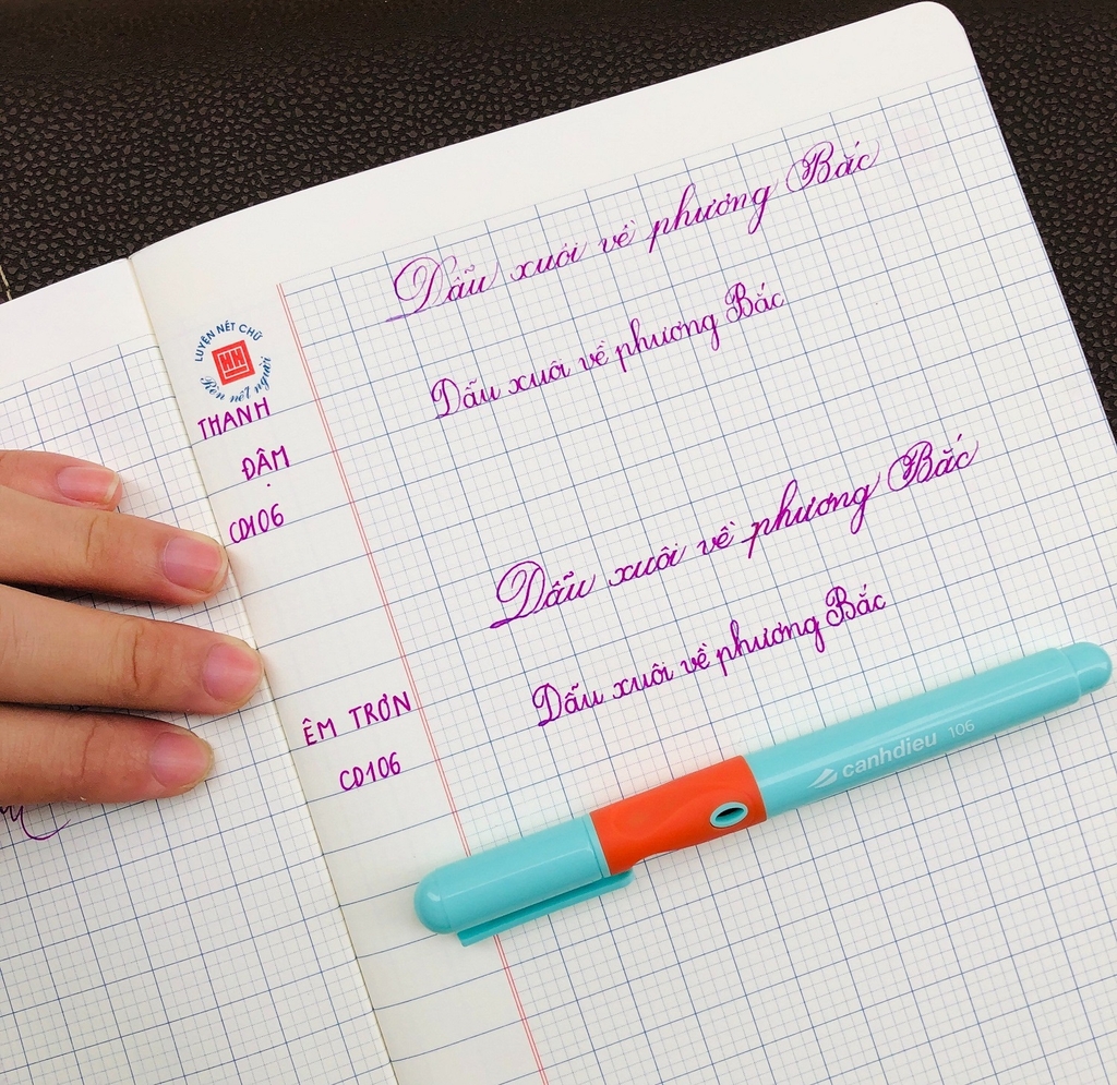 Bút máy Cánh Diều 106 ngòi thanh đậm