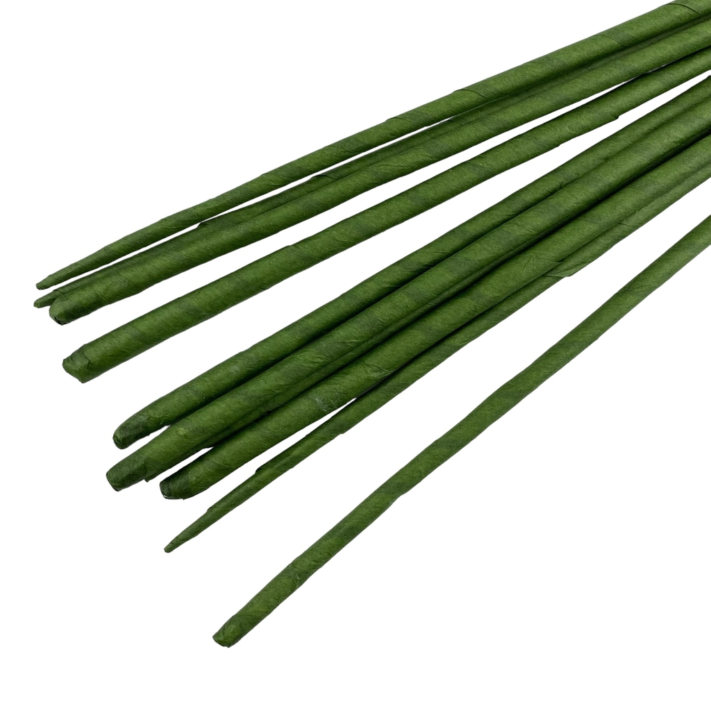 Cành giấy 10 cây