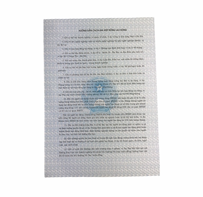 Hợp đồng lao động NY (100/1000)