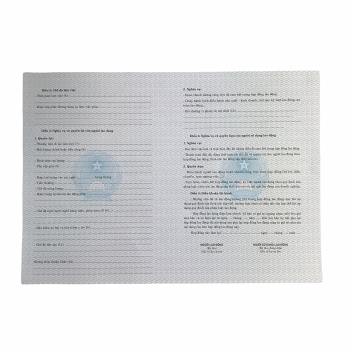 Hợp đồng lao động NY (100/1000)