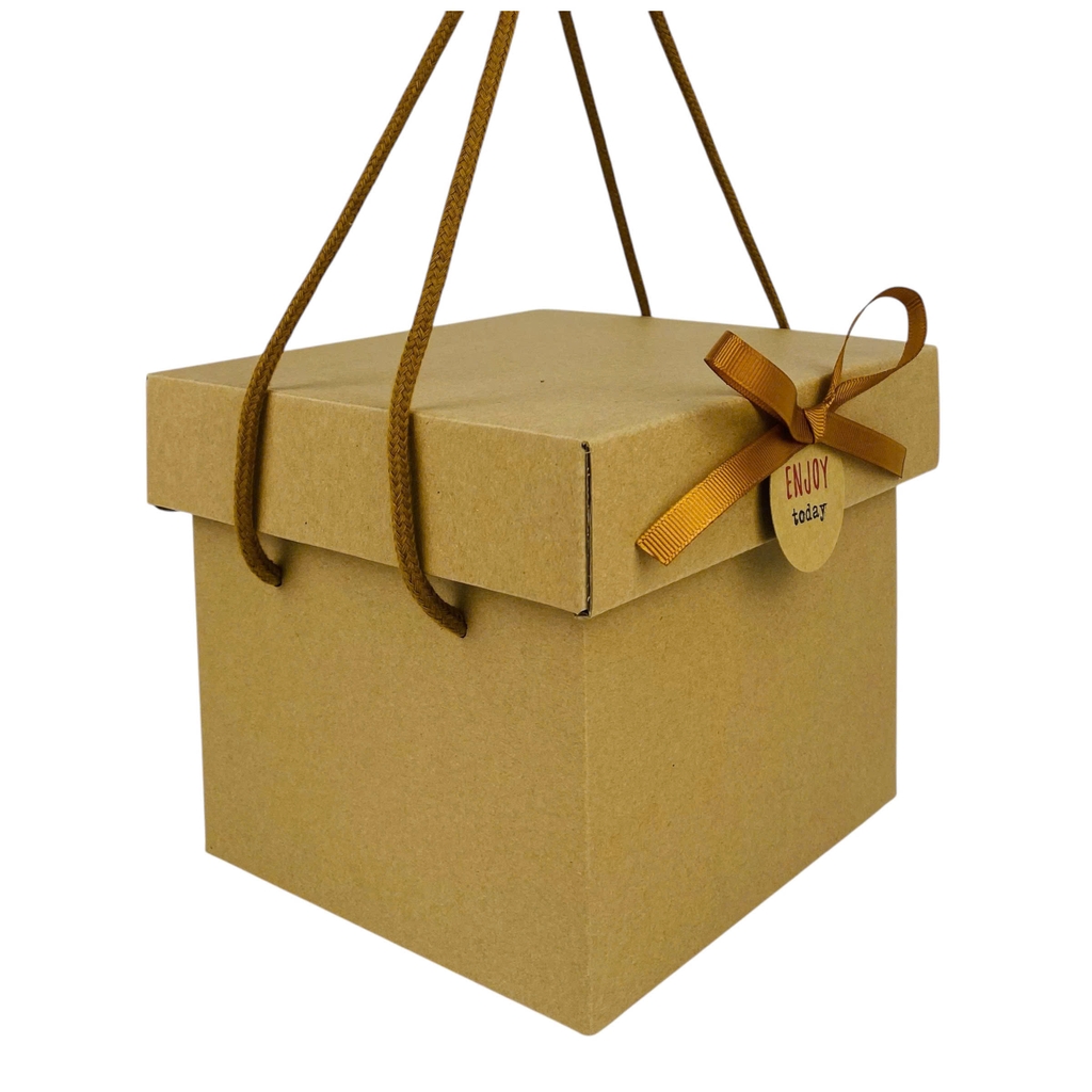 Hộp xếp quai kraft LL vuông