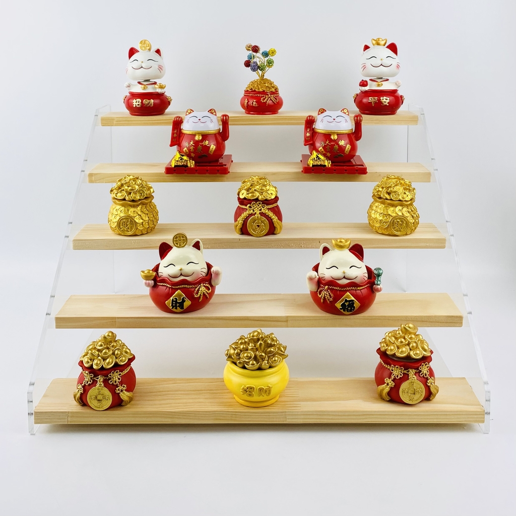 Kệ trưng bày Enter TB501/TB502/TB503/TB504 5 tầng