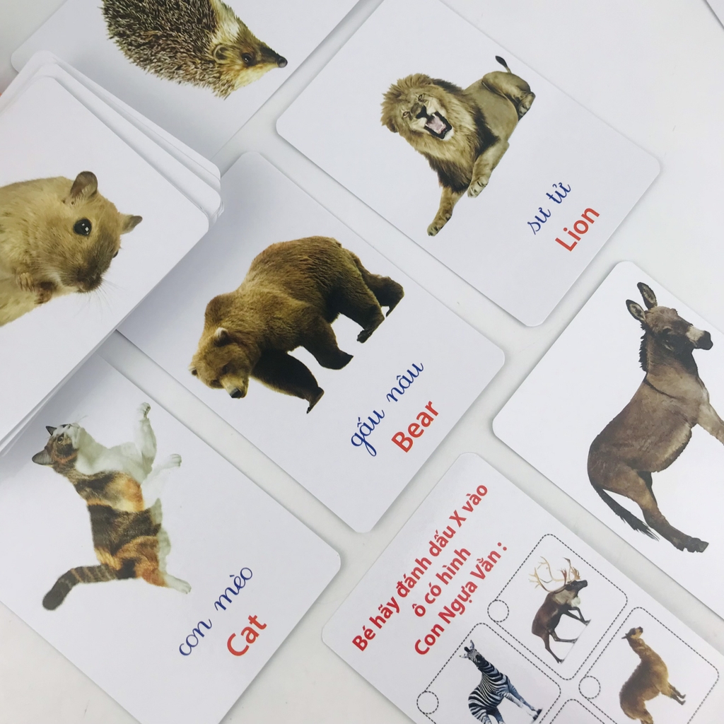 Thẻ thông minh-Bộ động vật