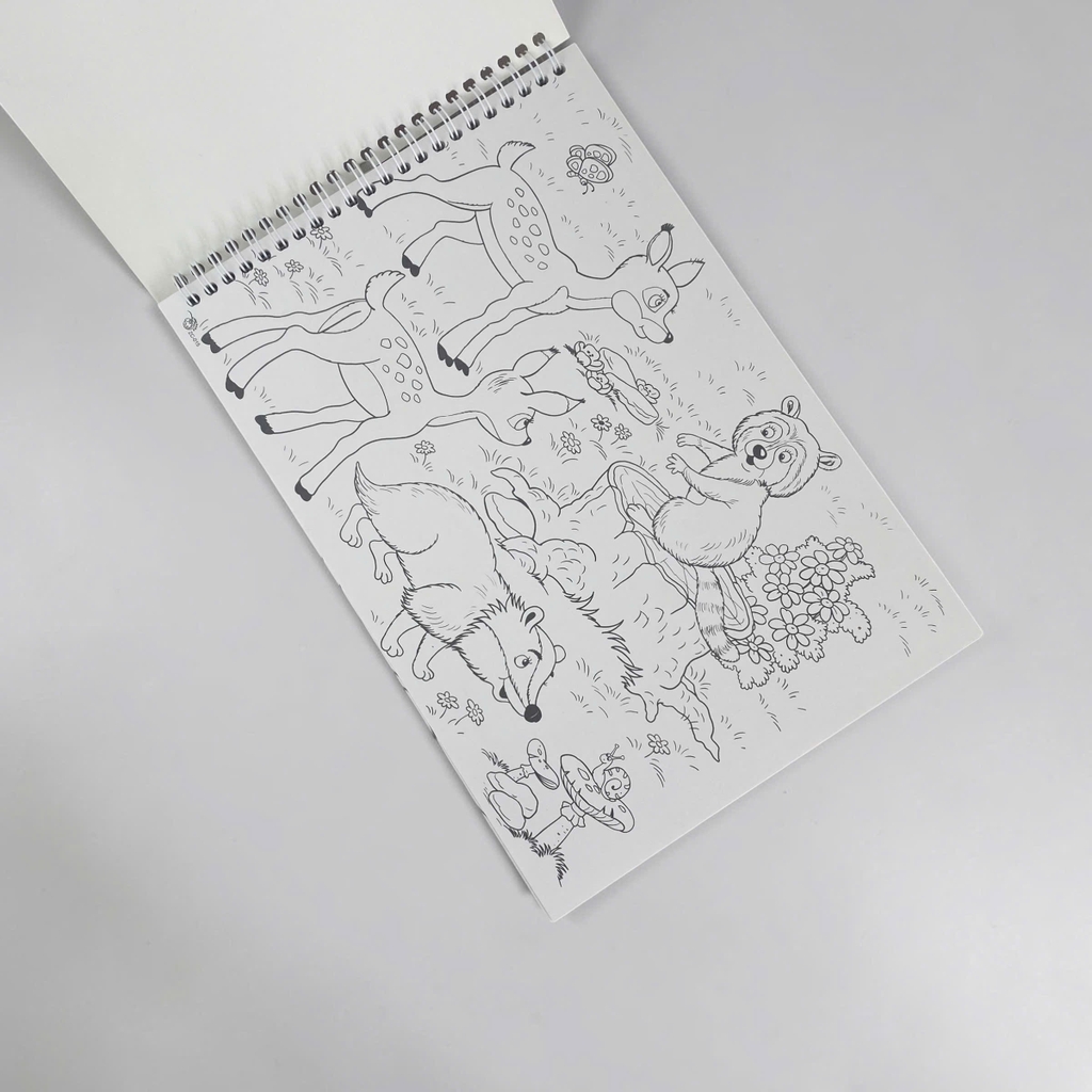 Tranh tô màu FT CP-001 / CP-002 / CP-003 (80)