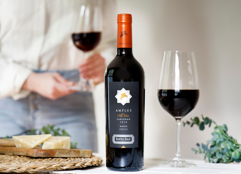 Rượu vang Santa Ema Amplus