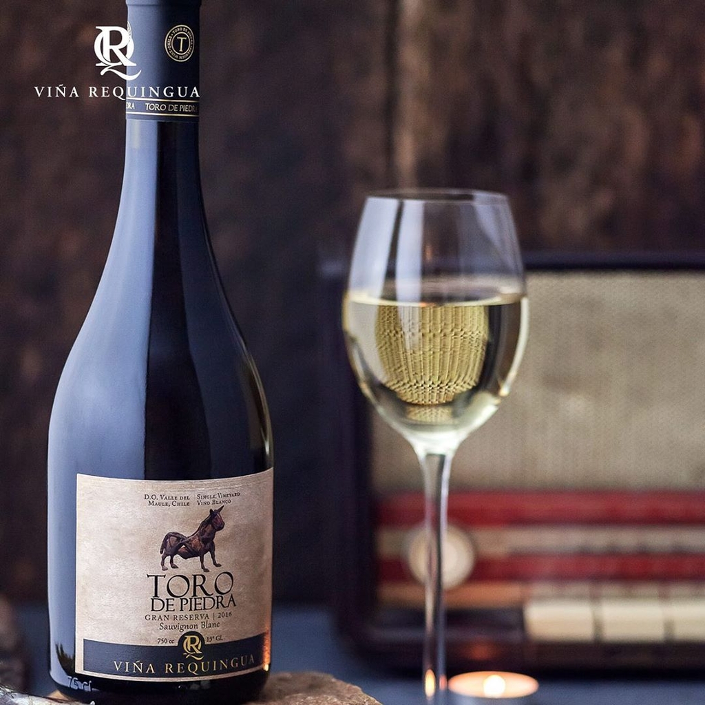 Rượu vang Chile Toro De Piedra Chardonay Gran Reseva .