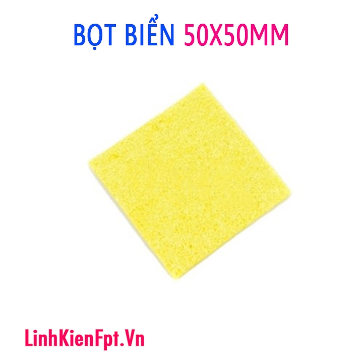 Bọt Biển Vuông