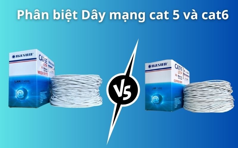 Cách Phân Biệt Dây Mạng CAT5 và CAT6 Chuẩn Xác Nhất Cho Người Dùng