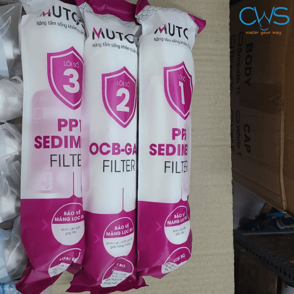 Hình Ảnh Thực Tế Bộ Lọc Thô 123 Mutosi