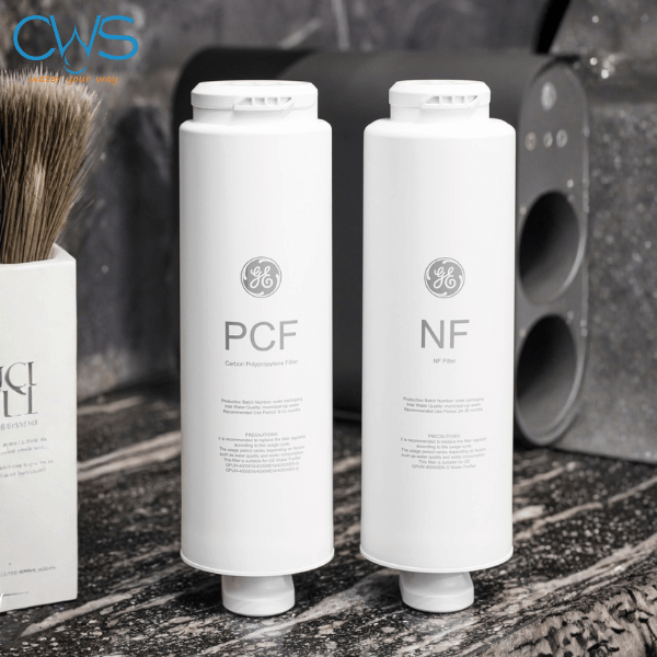 Hình ảnh thực tế lõi lọc nước GE GN610