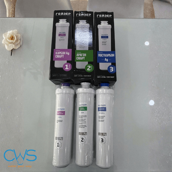 Hình ảnh thực tế lõi lọc nước Geyser Ecolux tại CWS