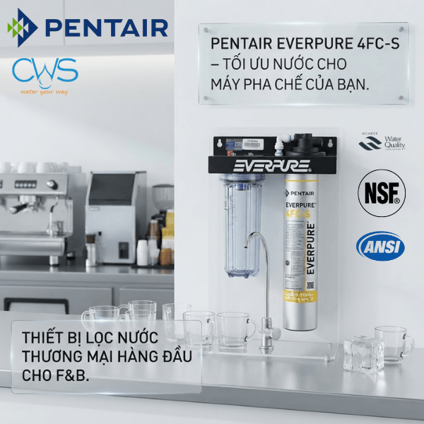 Máy Lọc Nước Pentair Everpure 4FC-S Được Thiết Kế Như Thế Nào Cho Nhu Cầu F&B