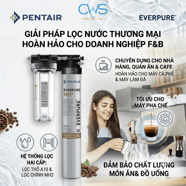 Máy Lọc Nước Pentair Everpure MH2 Được Thiết Kế Cho Những Mô Hình F&B Nào