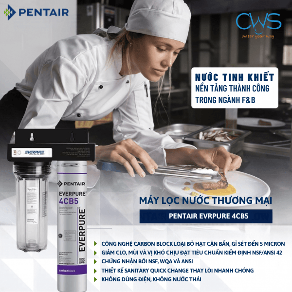 Những Tính Năng Đáng Chú Ý Trên Máy Lọc Nước Pentair Everpure 4CB5