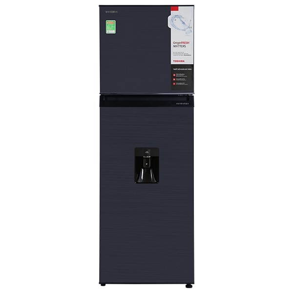 Tủ lạnh Toshiba GR RT325WE 249L
