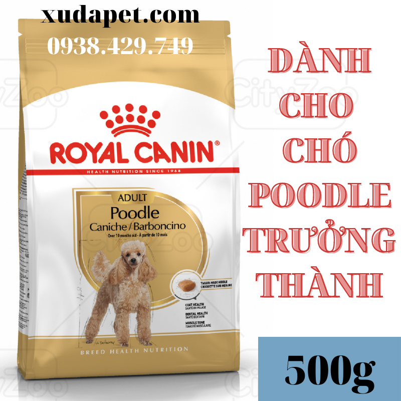 Thức Ăn Royal Canin Poodle Adult Dành Riêng Cho Giống Chó Poodle Trên 10 Tháng  Tuổi - Sp000423 | Xudapet - Love Your Pets