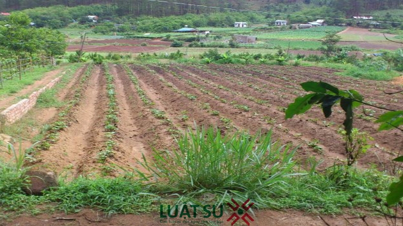 Háº¿t thá»i háº¡n sá»­ dá»¥ng Äáº¥t, ngÆ°á»i dÃ¢n pháº£i lÃ m gÃ¬?