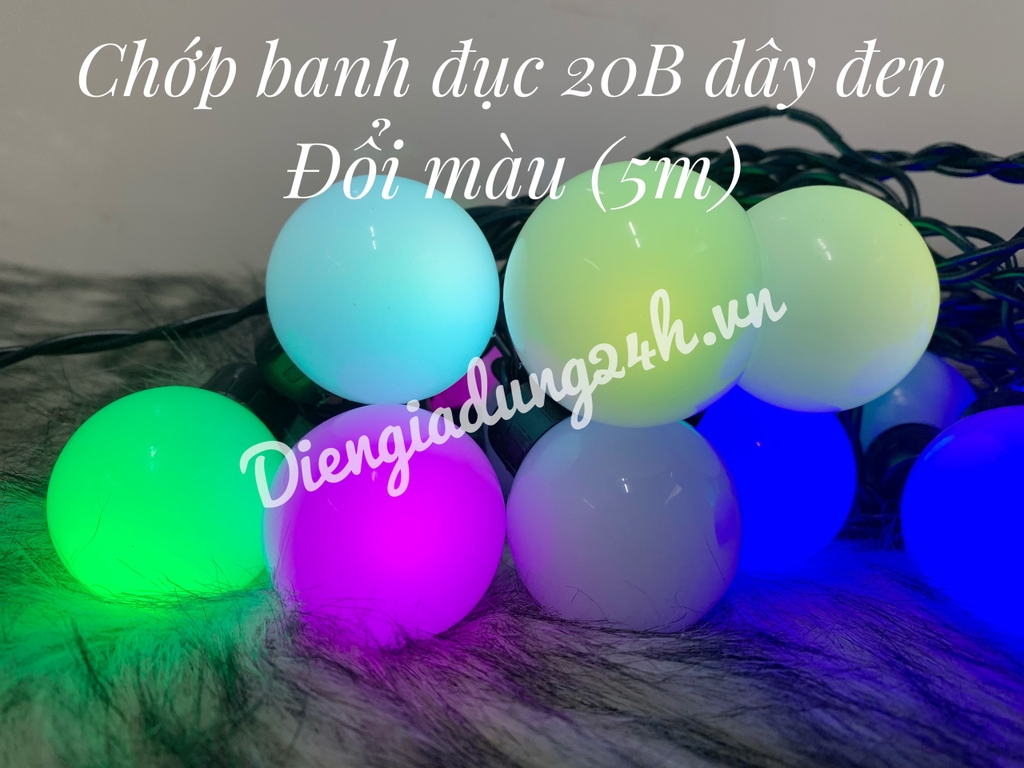 Chớp banh đục 20B dây đen (5m)