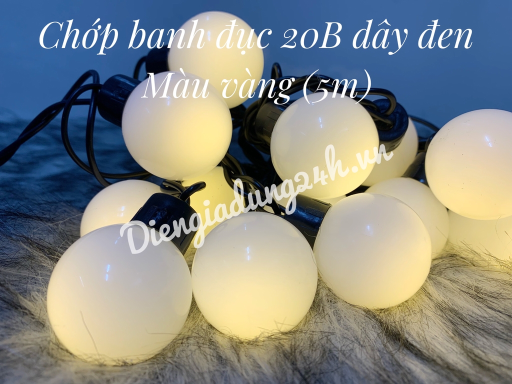 Chớp banh đục 20B dây đen (5m)