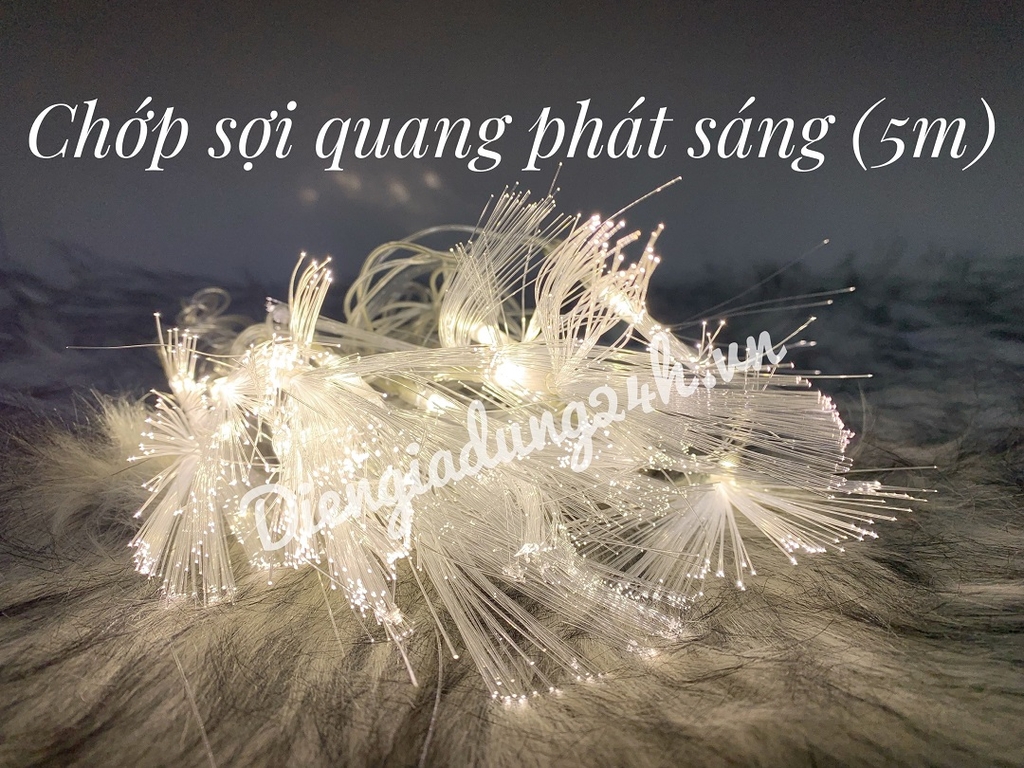 CHỚP SỢI QUANG PHÁT SÁNG ( 5m )