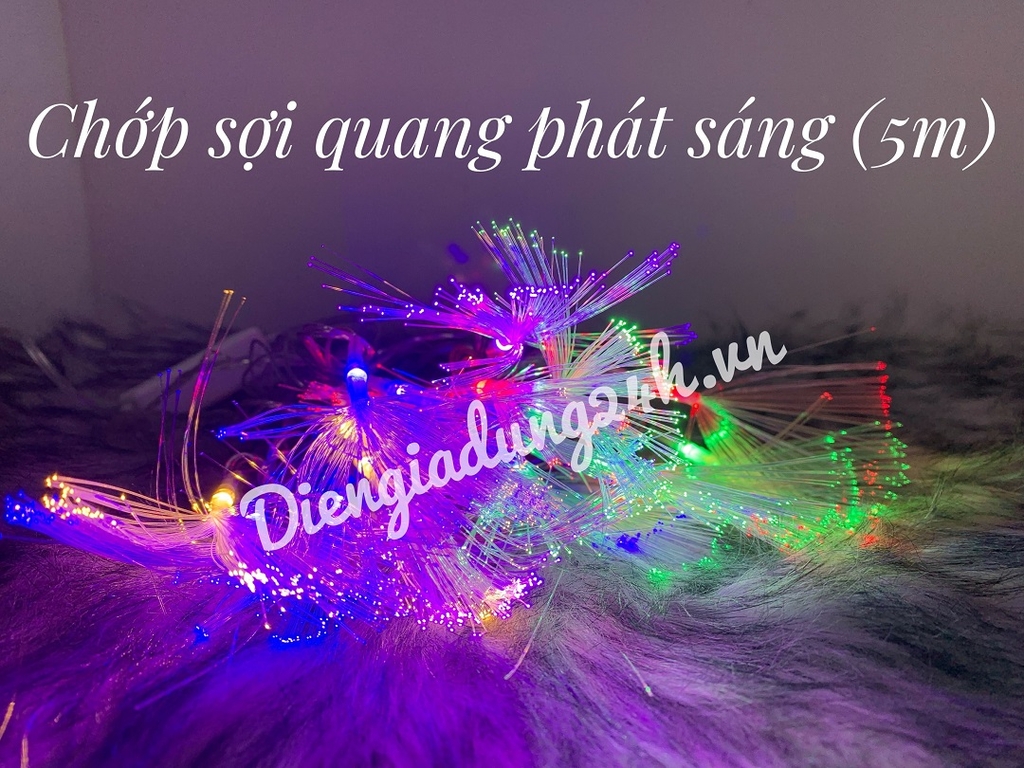 CHỚP SỢI QUANG PHÁT SÁNG ( 5m )