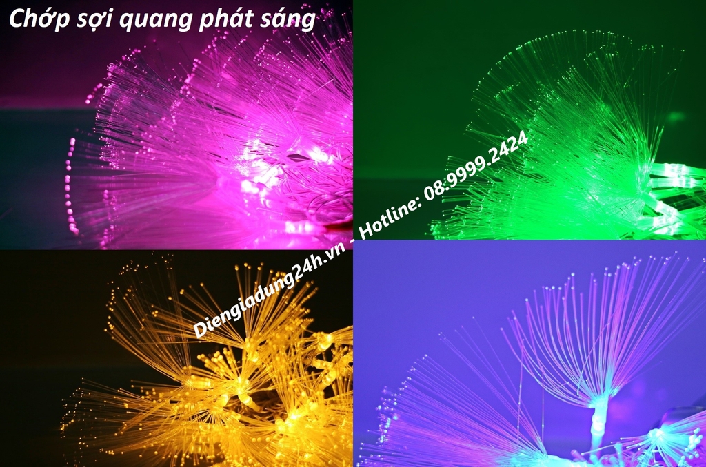 CHỚP SỢI QUANG PHÁT SÁNG ( 5m )