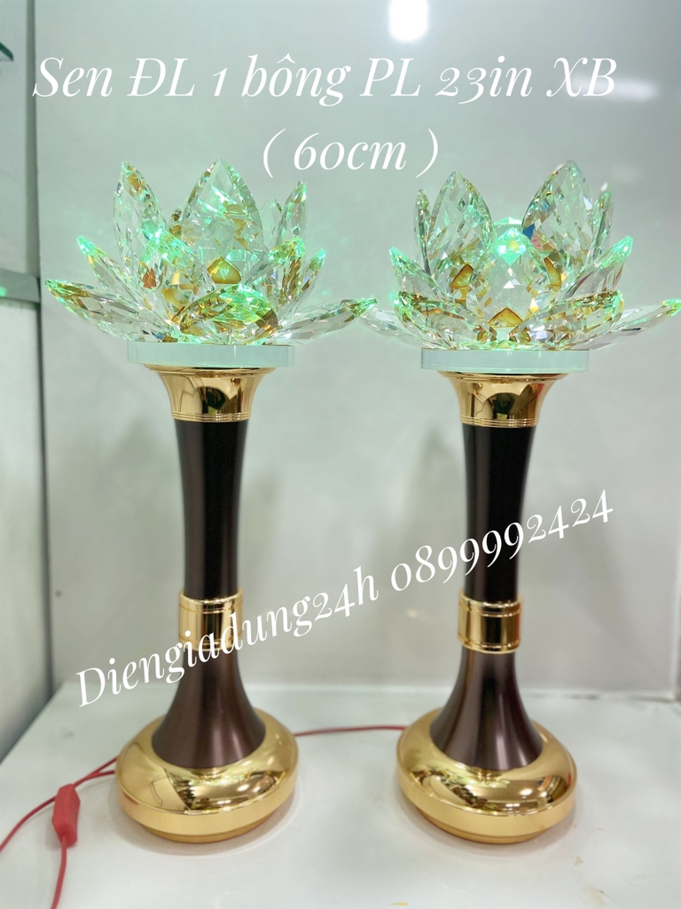 Sen ĐL 1 bông pha lê 23in XB
