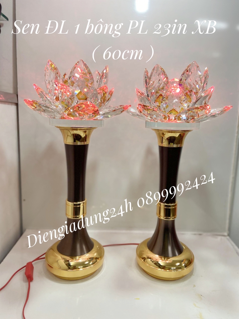 Sen ĐL 1 bông pha lê 23in XB