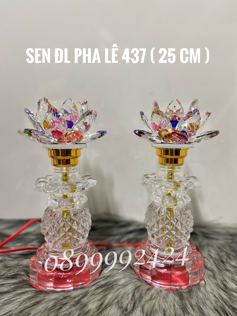 Đèn sen ĐL 1 BÔNG PL 437 ( 25cm )