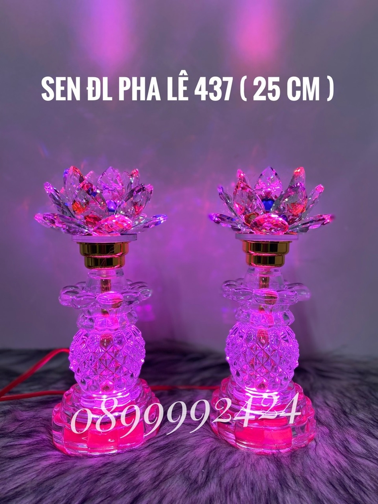 Đèn sen ĐL 1 BÔNG PL 437 ( 25cm )