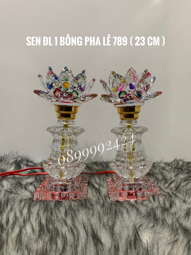 Đèn sen ĐL 1 BÔNG PL 789 ( 23cm )