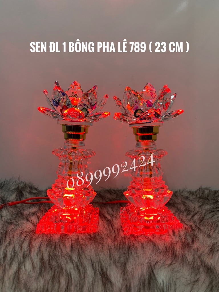 Đèn sen ĐL 1 BÔNG PL 789 ( 23cm )