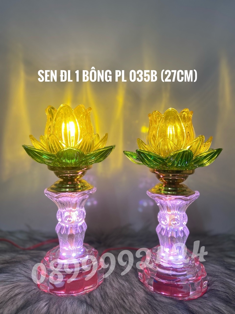 SEN ĐL 1 BÔNG PL 035B ( 27cm )