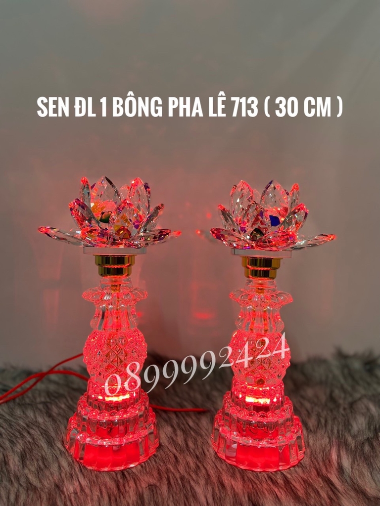 Đèn sen ĐL 1 BÔNG PL 713 ( 30cm )