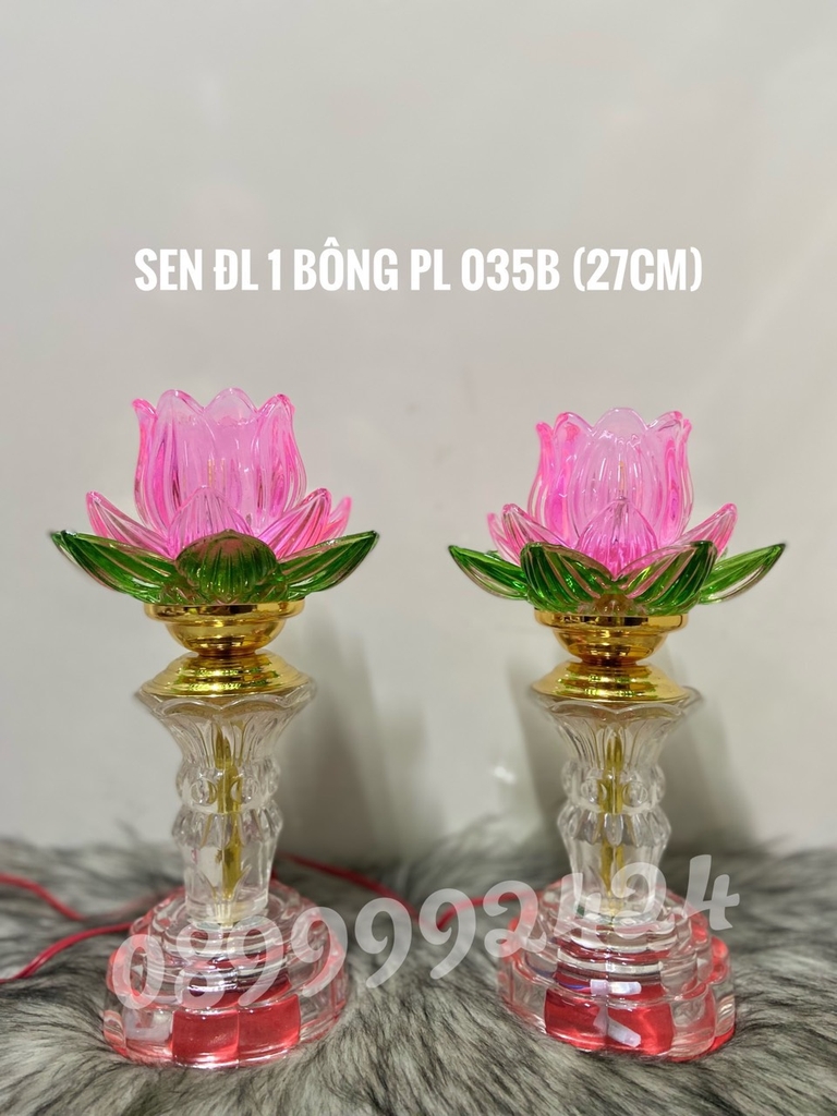 SEN ĐL 1 BÔNG PL 035B ( 27cm )