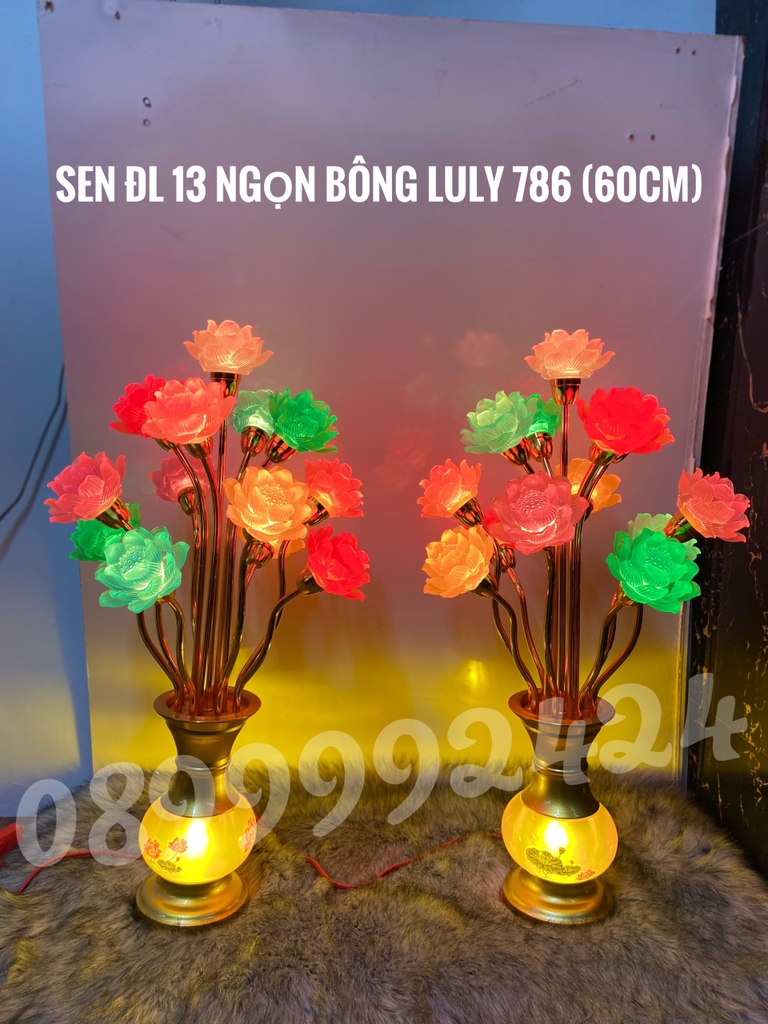 Sen ĐL 13 NGỌN BÔNG LULY PL 786 ( 60CM )