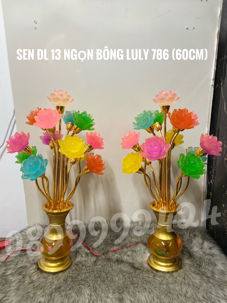 Sen ĐL 13 NGỌN BÔNG LULY PL 786 ( 60CM )