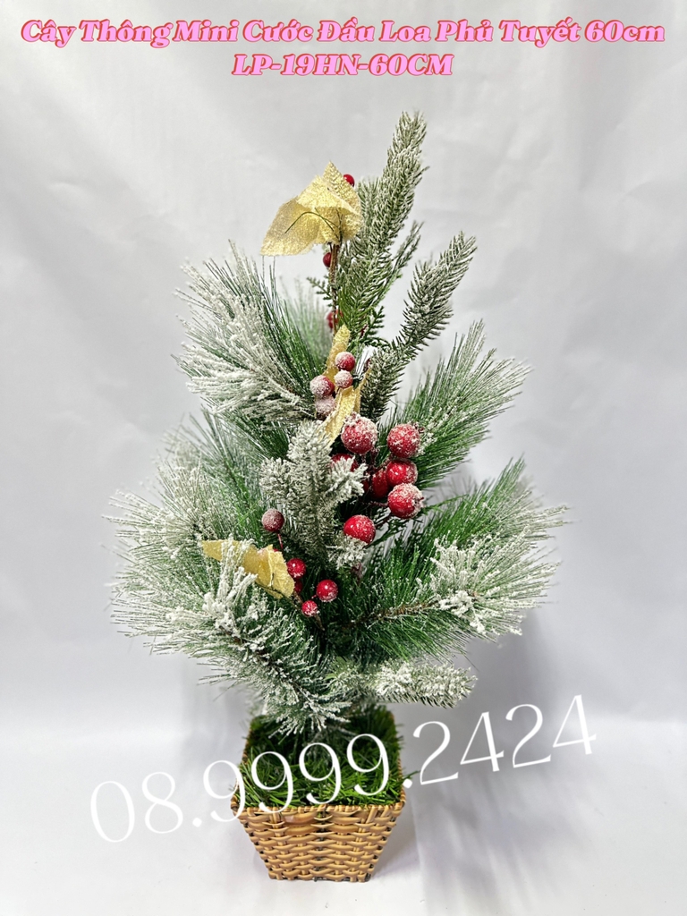 CÂY THÔNG MINI TRANG TRÍ NOEL GIÁNG SINH CAO 60 CM CÓ PHỤ KIỆN KÈM THEO TRÊN CÂY