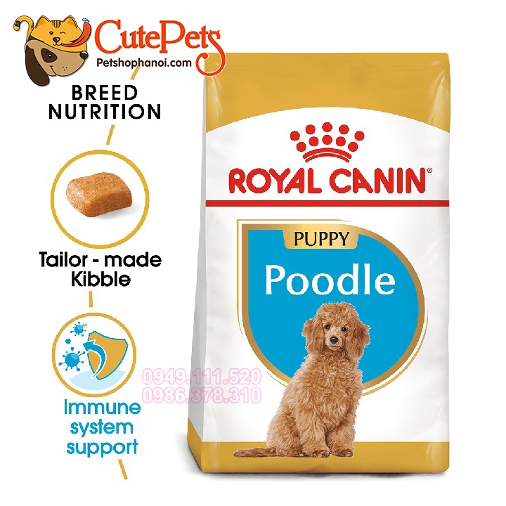 Royal Canin Poodle Junior 1.5Kg Hạt Cho Chó Poodle Cutepets - Pet Shop &  Grooming Spa Thú Cưng Hà Nội